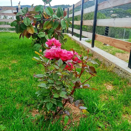 Сasa de vacaciones Celeste House *